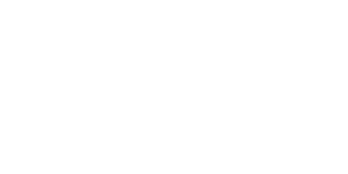 Leather Bunny